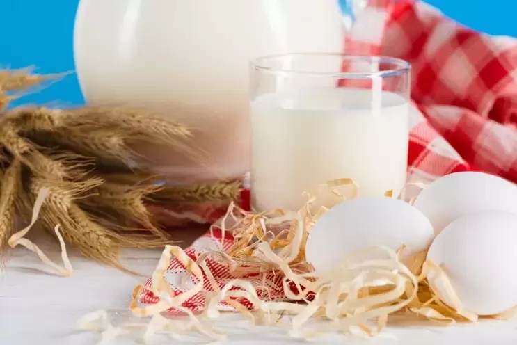 trứng và sữa cho chế độ ăn uống