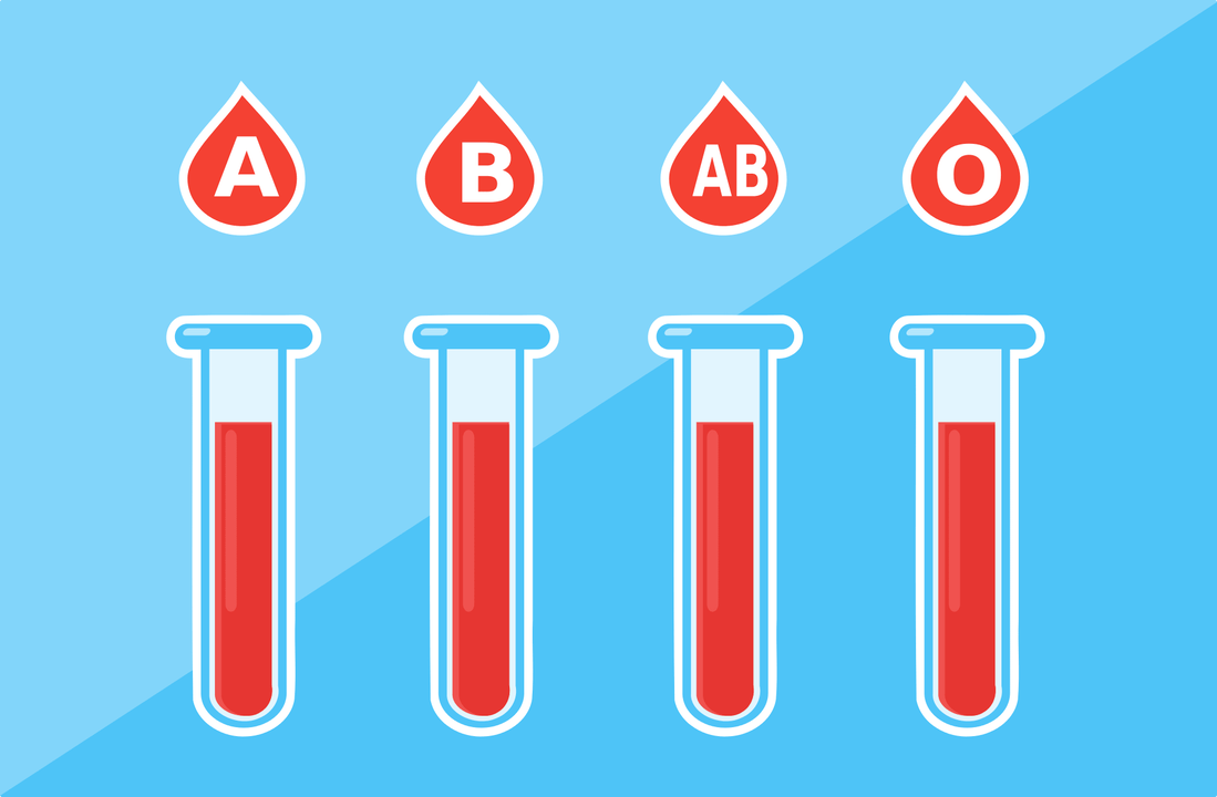 Có 4 nhóm máu A, B, AB, O